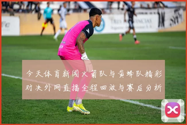 今天体育新闻火箭队与黄蜂队精彩对决外网直播全程回放与赛后分析