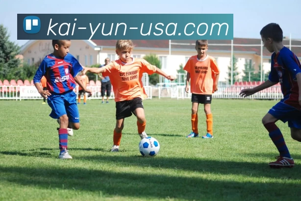 开云平台生态图